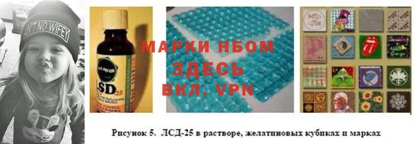 гидра Арсеньев