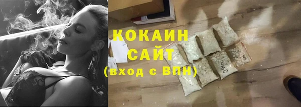 гидра Арсеньев